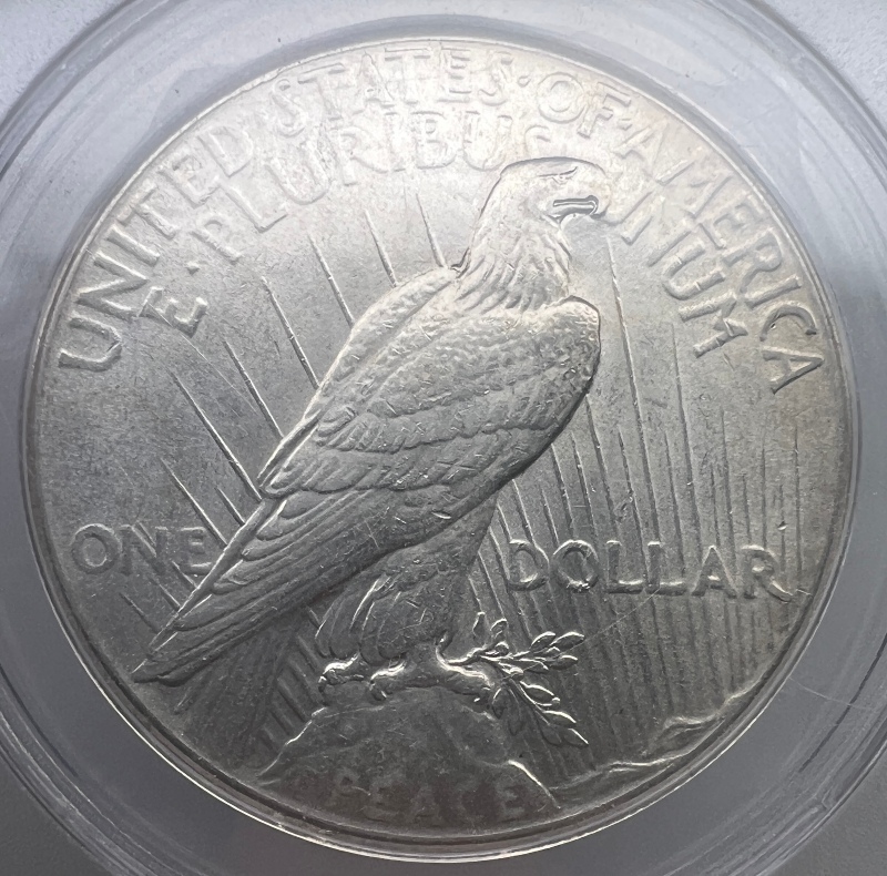 10-Days-Of-Peace-Dollars!